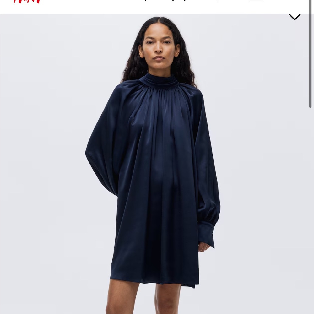 NWT H&M scarf detail dress